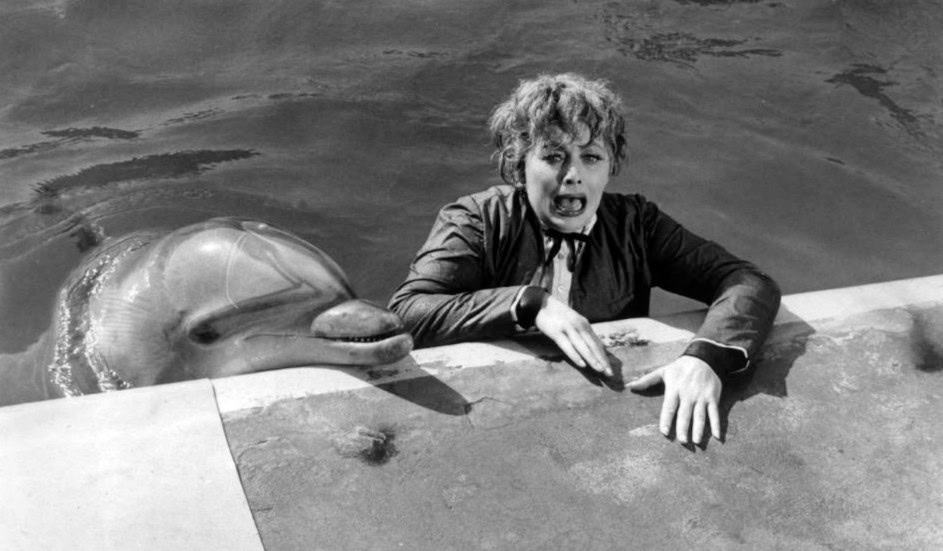lucy at marineland lucille ball 1966 e79075
