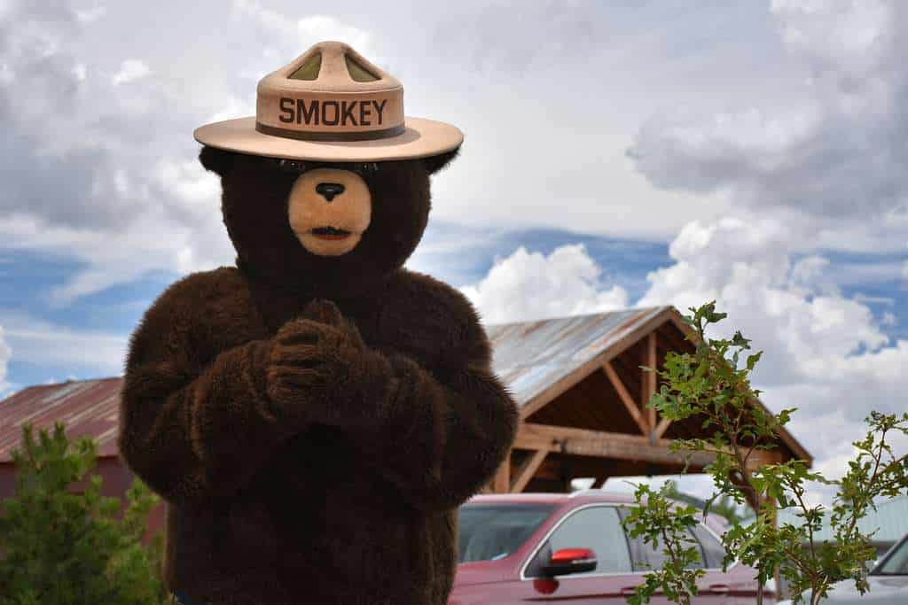 Public Service Announcements from the '80s That Scarred Us for Life 9 smokey bear 75th birthday celebration at the city of williams visitors center 296c1c