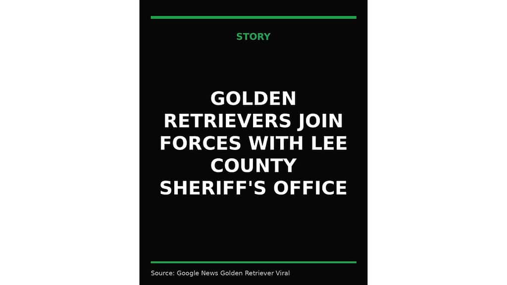 golden retrievers join forces with lee county sheriff s office wp featured