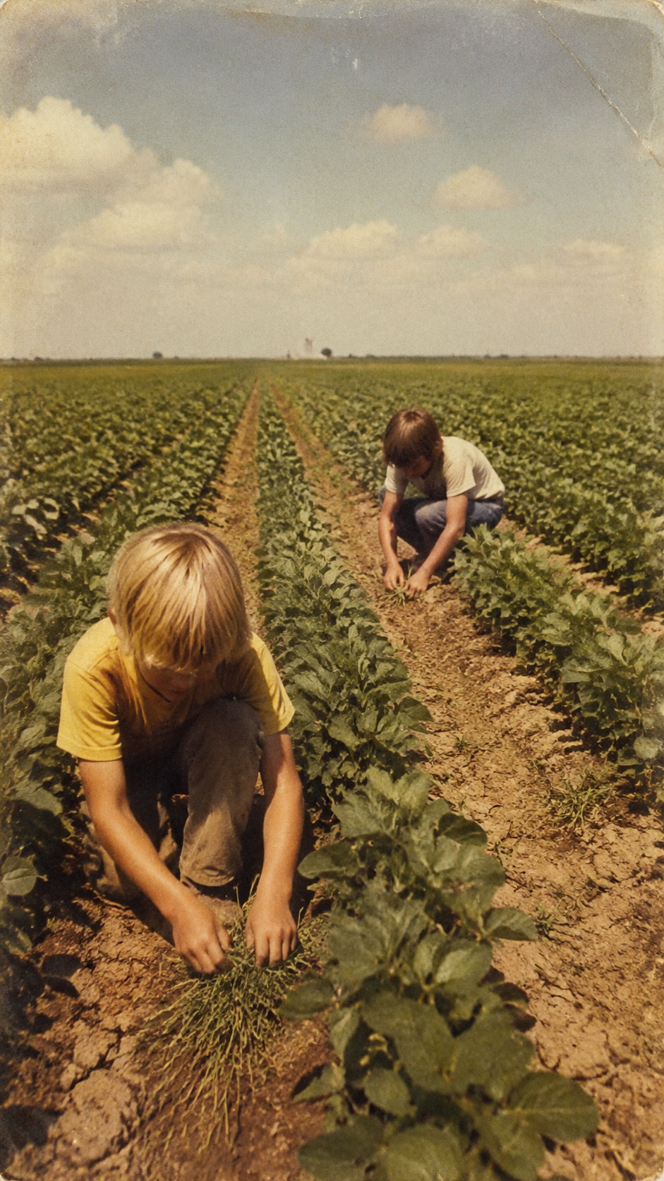 28 Things Every Farm Kid Could Do That City Kids Can't Imagine 28 Walking Beans to Pull Weeds by Hand