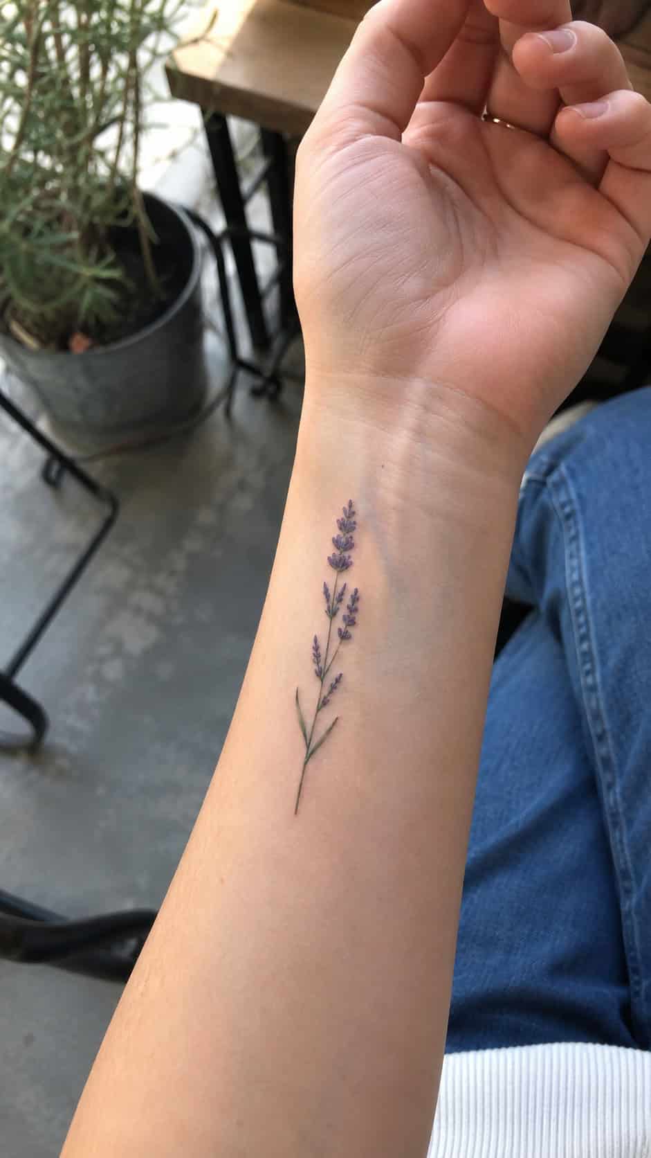 Tiny Lavender Sprig