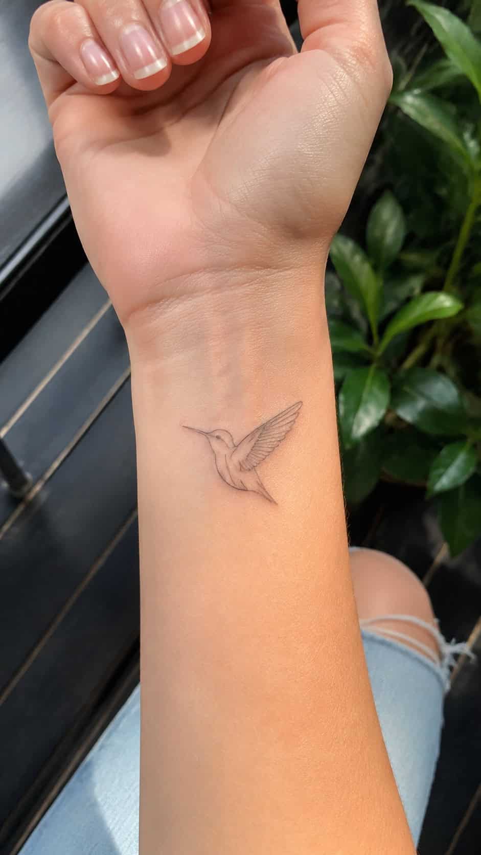 Hummingbird in Flight