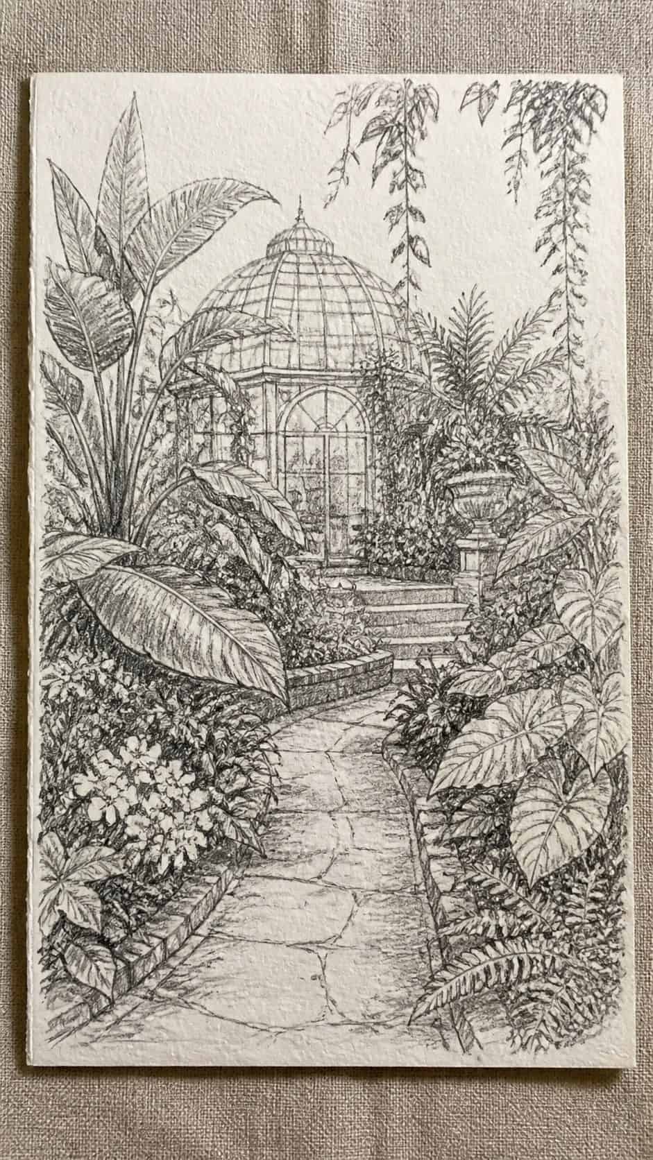 Hand-drawn botanical gardens in graphite drawing on textured paper, shown in a close overhead crop — study 1