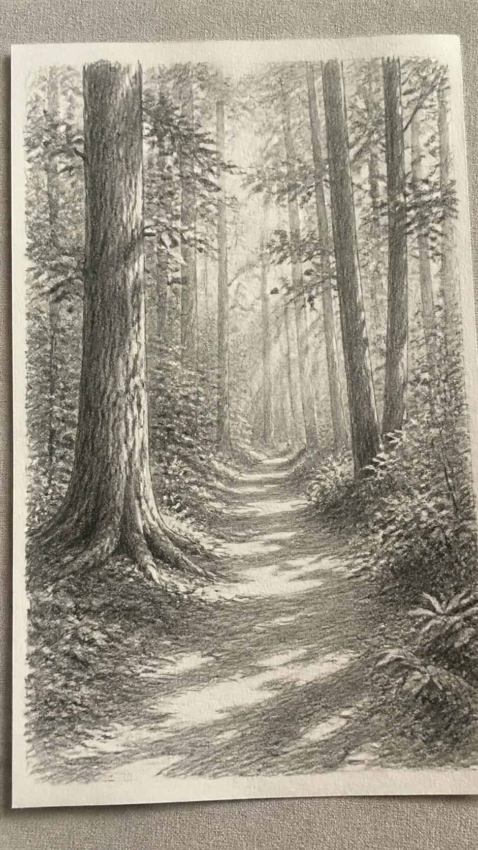 17 Nature Drawing Concepts to Inspire Your Next Sketch 2 Hand-drawn serene forest path in graphite drawing on textured paper, shown in a gentle oblique desk view that shows paper tooth and — study 1