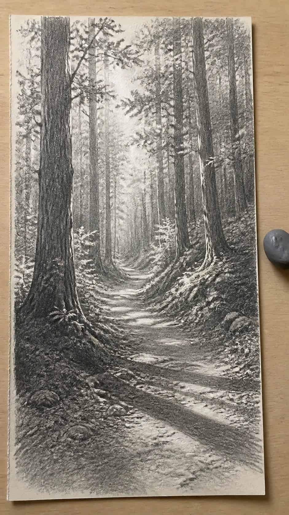 17 Nature Drawing Concepts to Inspire Your Next Sketch 3 Hand-drawn serene forest path in graphite drawing on textured paper, shown in a close overhead crop — study 2