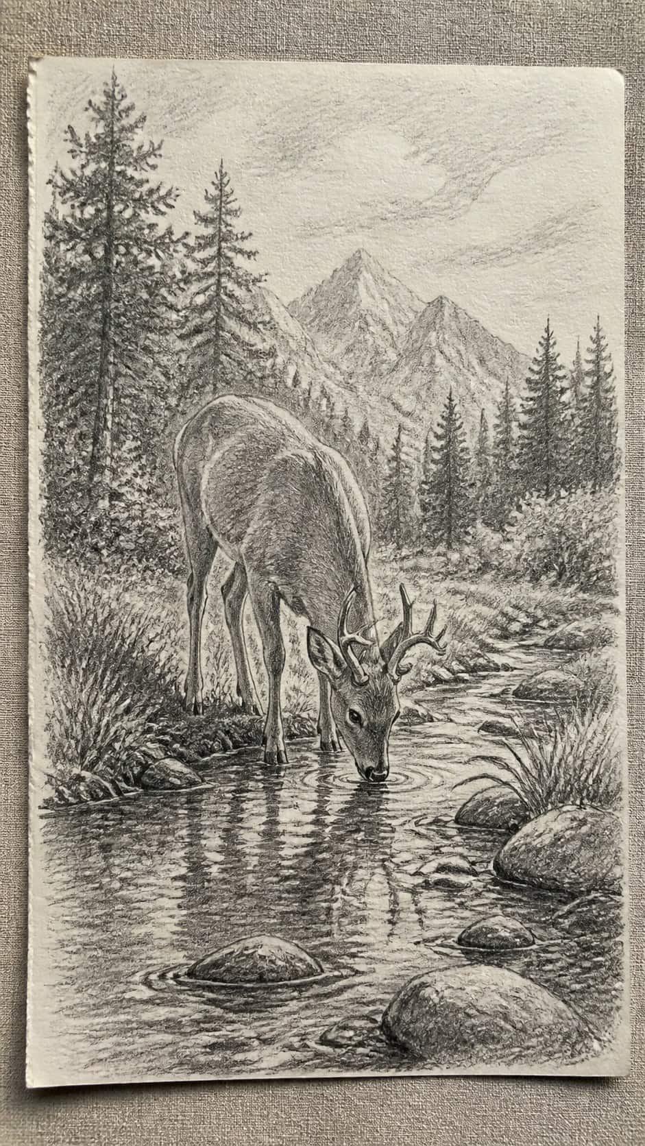 17 Nature Drawing Concepts to Inspire Your Next Sketch 22 Hand-drawn wildlife encounter in graphite drawing on textured paper, shown in a close overhead crop — study 2