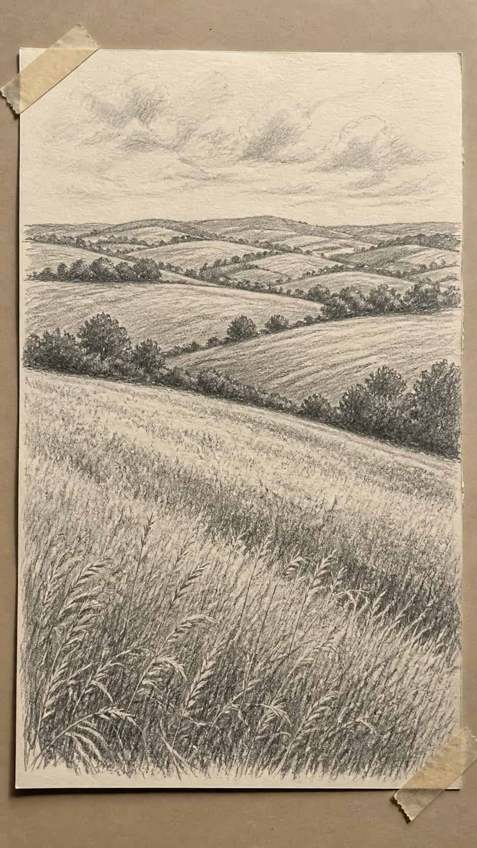 17 Nature Drawing Concepts to Inspire Your Next Sketch 24 Hand-drawn rolling fields in graphite drawing on textured paper, shown in a straight overhead view — study 2