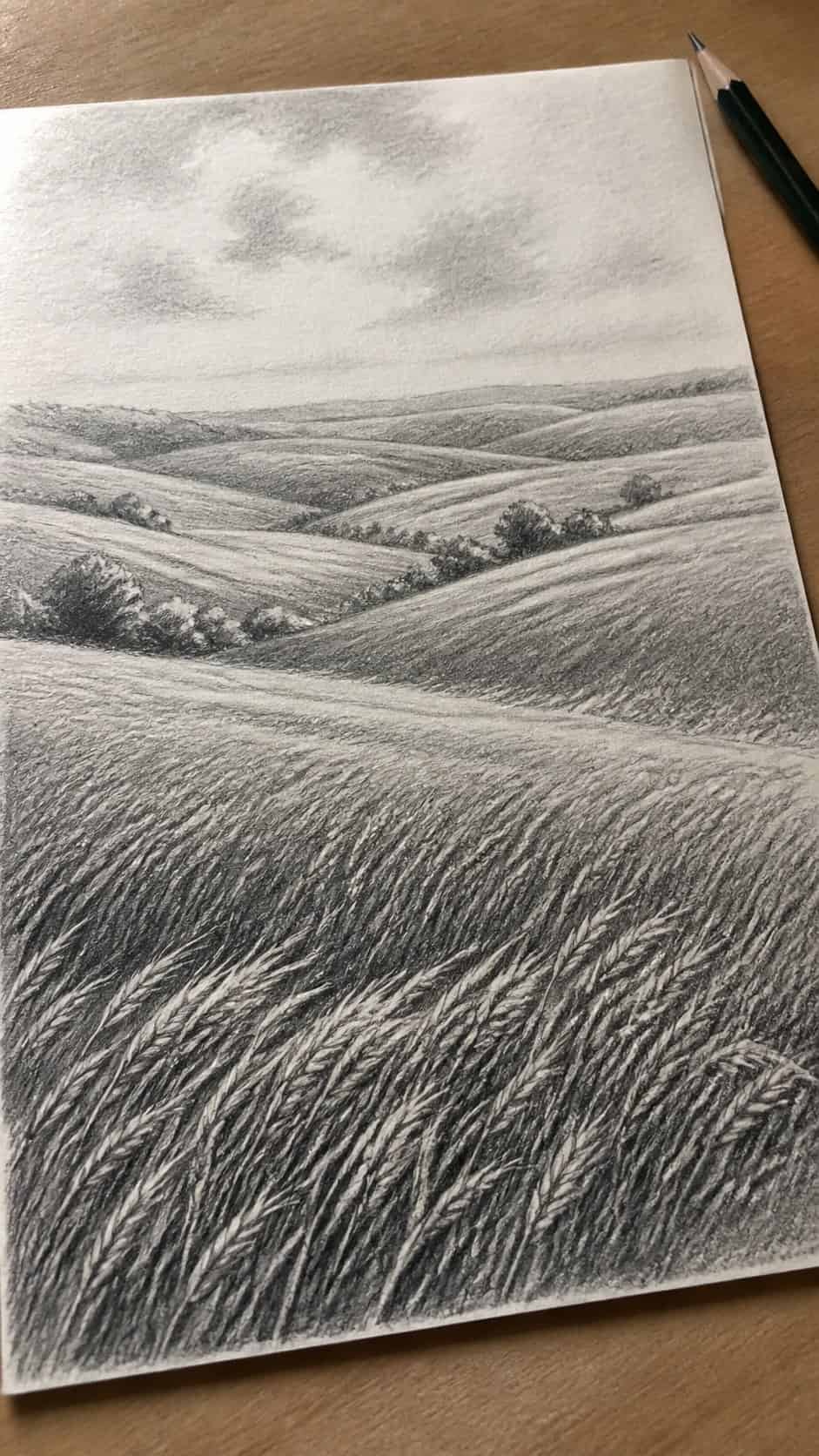 17 Nature Drawing Concepts to Inspire Your Next Sketch 25 Hand-drawn rolling fields in graphite drawing on textured paper, shown in a gentle oblique desk view that shows paper tooth and — study 3