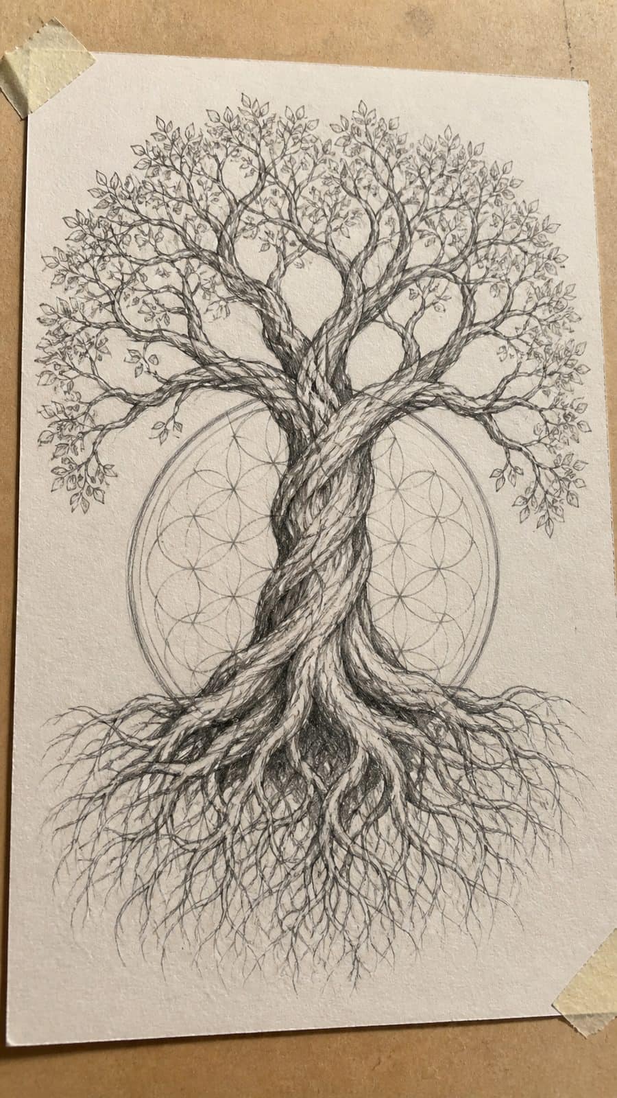 Hand-drawn the tree of life in graphite drawing on textured paper, shown in a slightly off-center overhead composition, like an artist — study 1