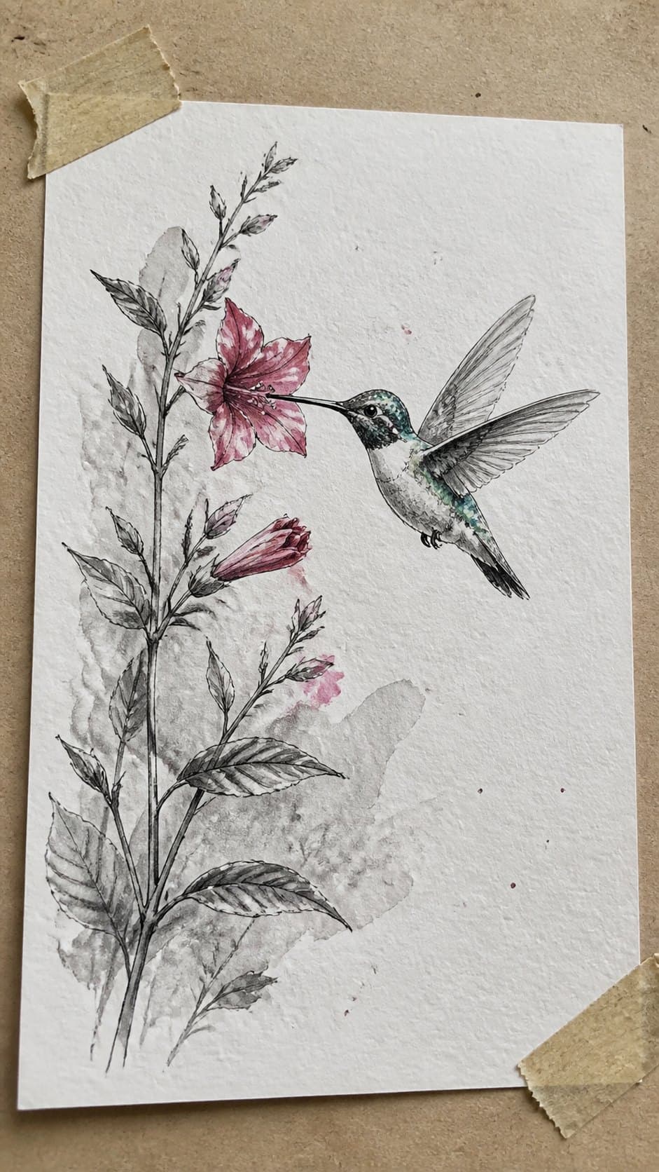 Hand-drawn watercolor hummingbird scene in mixed-media hand drawing on textured paper, shown in a gentle oblique desk view that shows — study 1