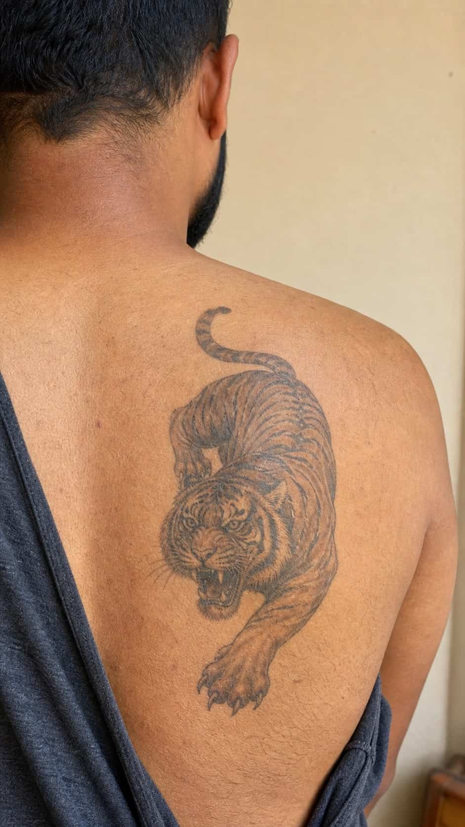 From Samurai to Dragons: 19 Stunning Japanese Tattoo Ideas for Men 20 Healed tiger tattoo on a adult man's upper back, photographed in a natural straight-on close view, a touch off-center like a quick — study 2