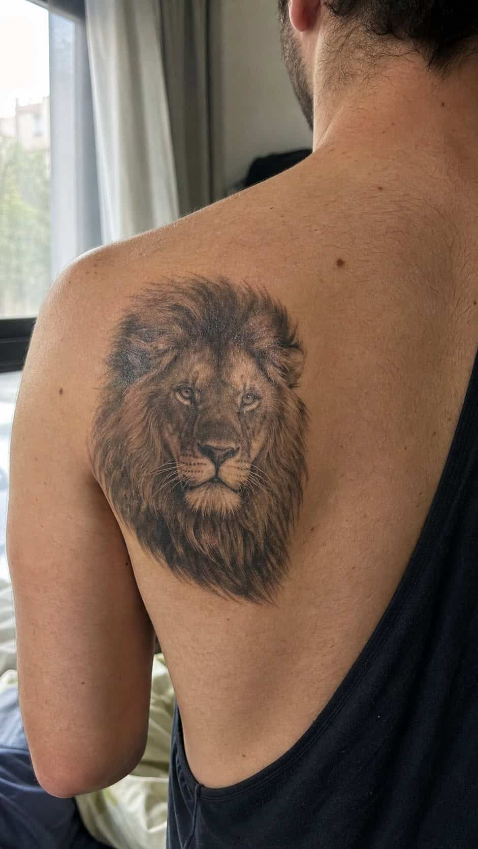 The Art of Ink: 23 Inspirational Back Tattoos for Men 5 Healed realistic lion tattoo on a adult man's upper back, photographed in a natural straight-on close view, a touch off-center like a — study 1