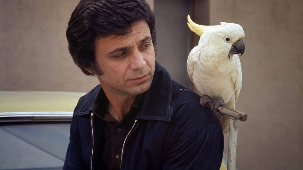 18 Classic TV Theme Songs from the '70s Still Stuck in Your Head 11 Robert Blake as Baretta with his cockatoo