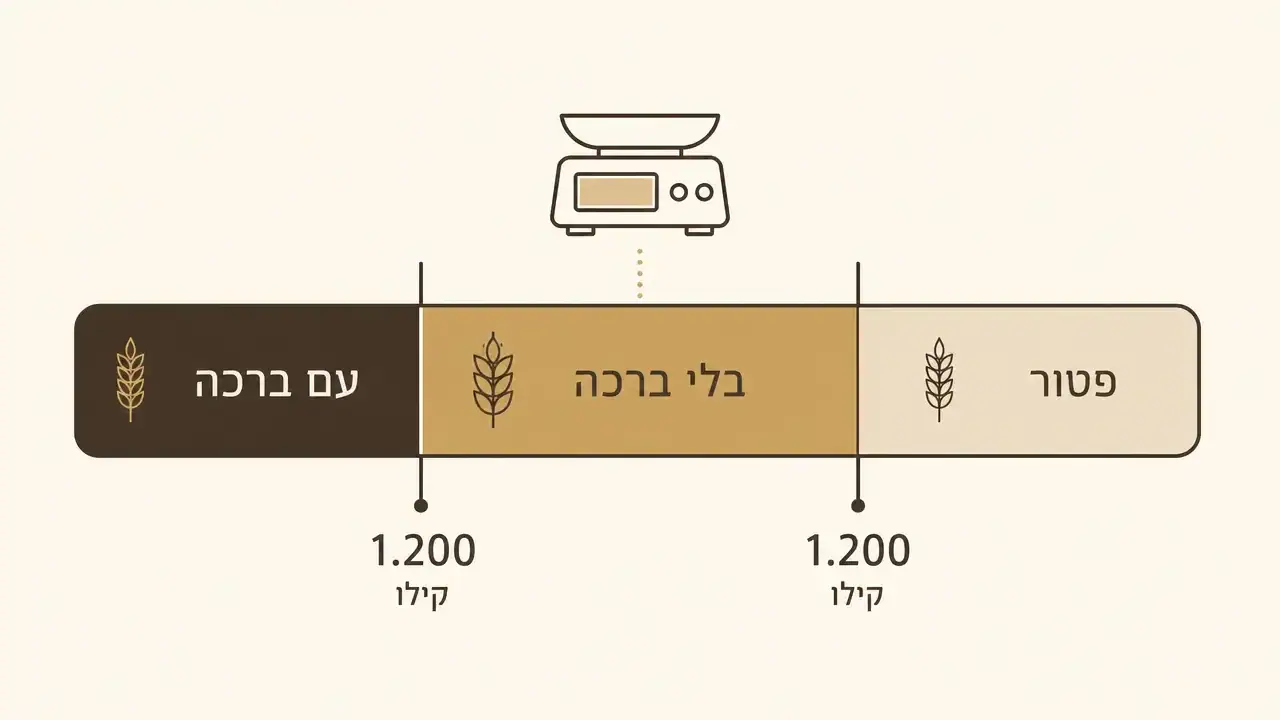 כמה קמח צריך כדי להפריש חלה בלי ברכה