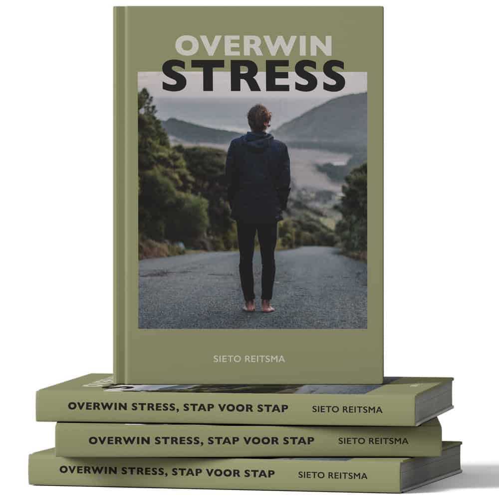 Overwin Stress Stap voor Stap - boek door Sieto Reitsma over ReAttach therapie