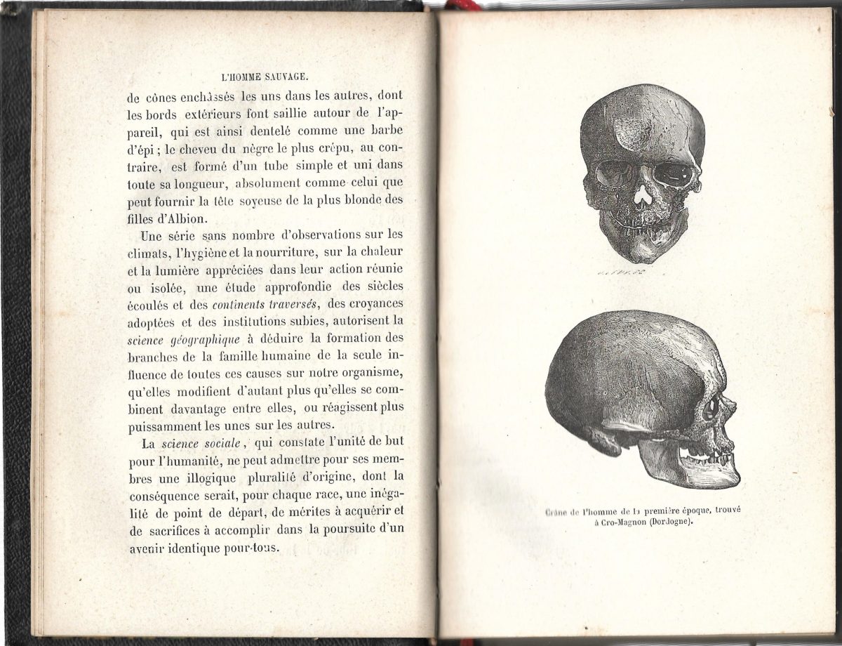 L'Homme Sauvage Charton Bibliotheque des Merveilles Illustrated 1872 - Image 3