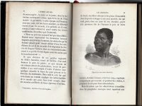 L'Homme Sauvage Charton Bibliotheque des Merveilles Illustrated 1872 - Image 4
