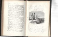 L'Homme Sauvage Charton Bibliotheque des Merveilles Illustrated 1872 - Image 7