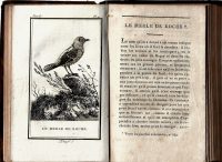 Histoire Naturelle Buffon Ornithology Birds Illustrated 1799 - Image 5