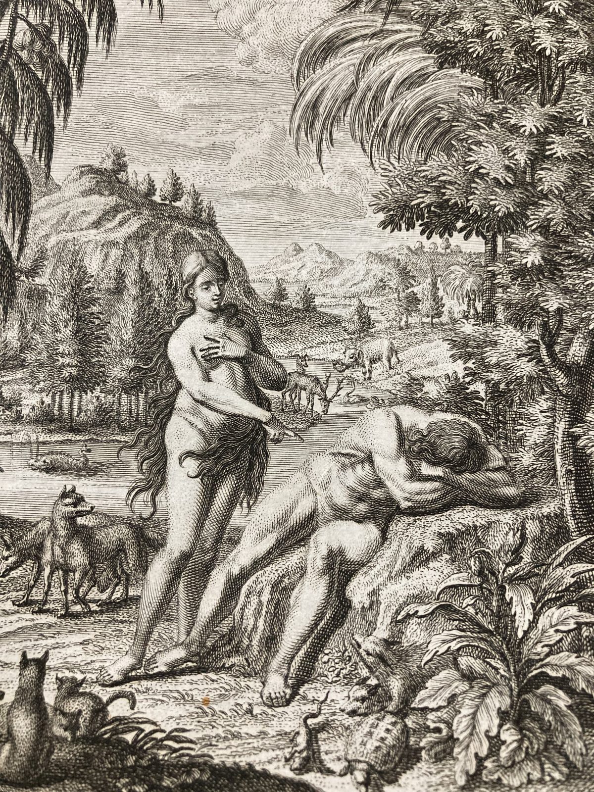 Physica Sacra Adam Eve Scheuchzer Bible Kupfer Bibel Tab 27 Eden - Image 3