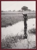 African Villager Fetching Water Press Photo WHO H. Anenden
