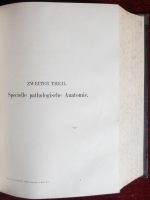 Anatomic Pathology Antique Book Two Vol Medicine Hirschfeld - Image 2