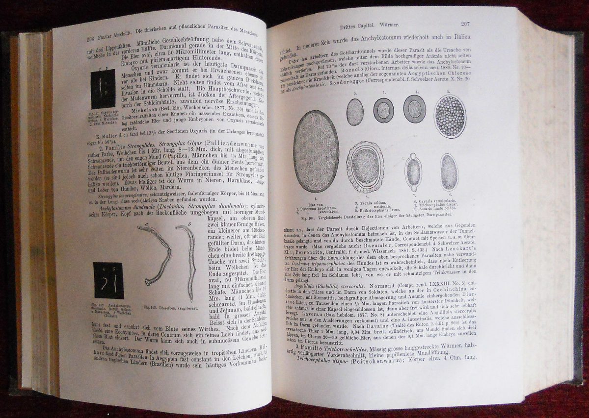 Anatomic Pathology Antique Book Two Vol Medicine Hirschfeld - Image 3