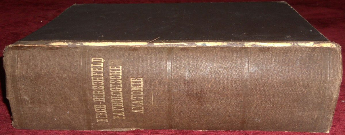 Anatomic Pathology Antique Book Two Vol Medicine Hirschfeld - Image 5