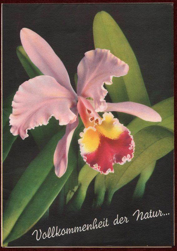 Invicita Printing Press advertising brochure