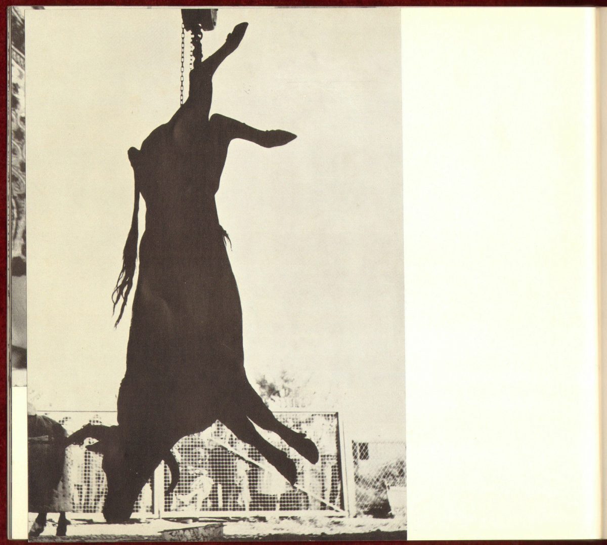 1963 Lucien Clergue Signed Inscribed Magnan Photos Zürich French Barbezat - Image 7