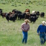 Cattle Rancher Sounds Alarm Over ‘War on Beef’: You Will Only Eat ‘Meat as a Treat’
