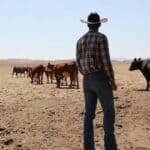 Tyson Shuts Down Major American Beef-Processing Plant amid Global War on Meat