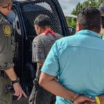 National Crime Numbers Fall amid Trump’s Illegal Alien Crackdown