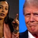 Ex-CNN Commentator Accuses Trump & Republicans of Rigging 2024, Plotting to Rig 2026: ‘I Don’t Have Data – I Got a Gut Feeling’