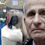 USAID Sent 11,000 Viruses to Fauci’s Wuhan Biolab
