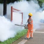 CDC Issues Travel Warning for China Over New Chikungunya Virus Outbreak