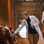 Cloned ‘Meat’ Secretly Flooding American Food Supply Without Labels