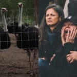 Canadian Government Slaughters Hundreds of Healthy Ostriches at BC Farm, Despite No Evidence of Bird Flu