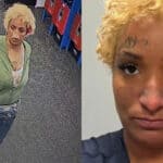 Woman Arrested for Inserting Razor Blades into Walmart Bread Purchased by Several Customers