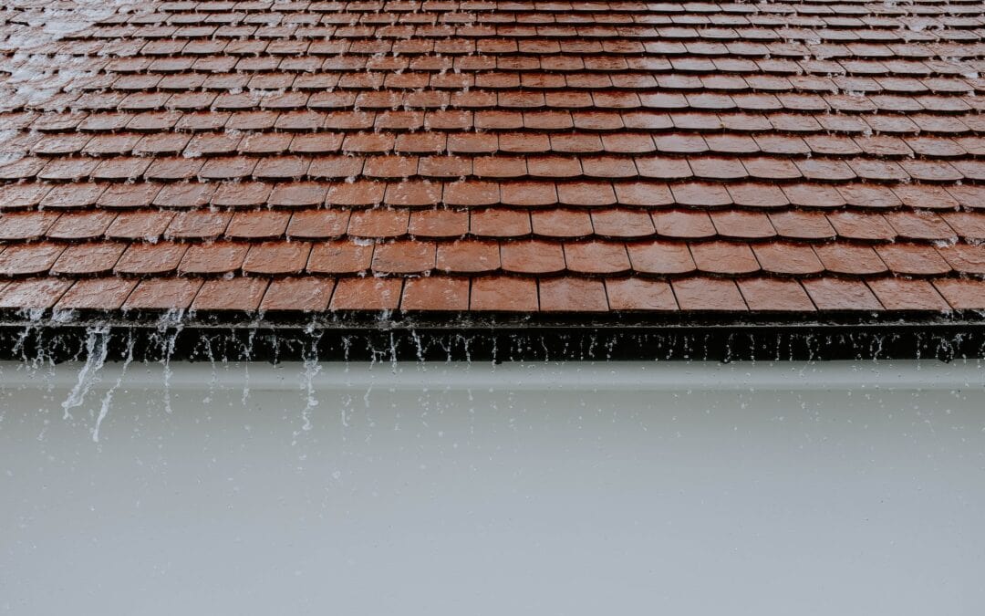 7 Warning Signs Your Roof Needs Urgent Attention