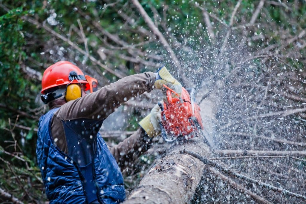 A Slidell Tree Service
