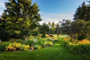 Landscaping company in Slidell