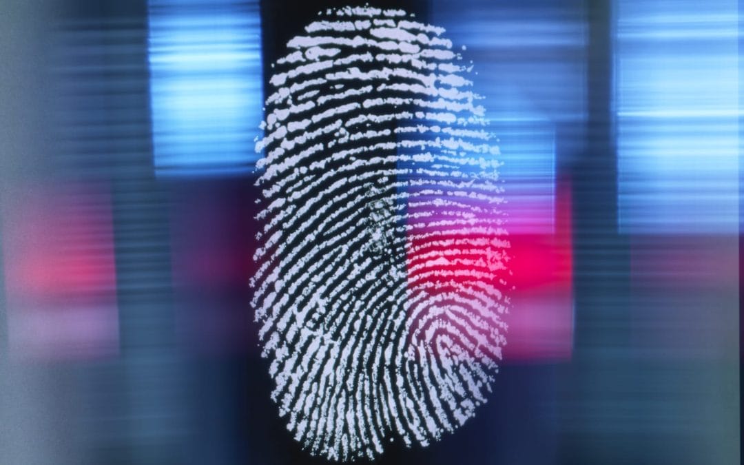 fingerprint-on-screen