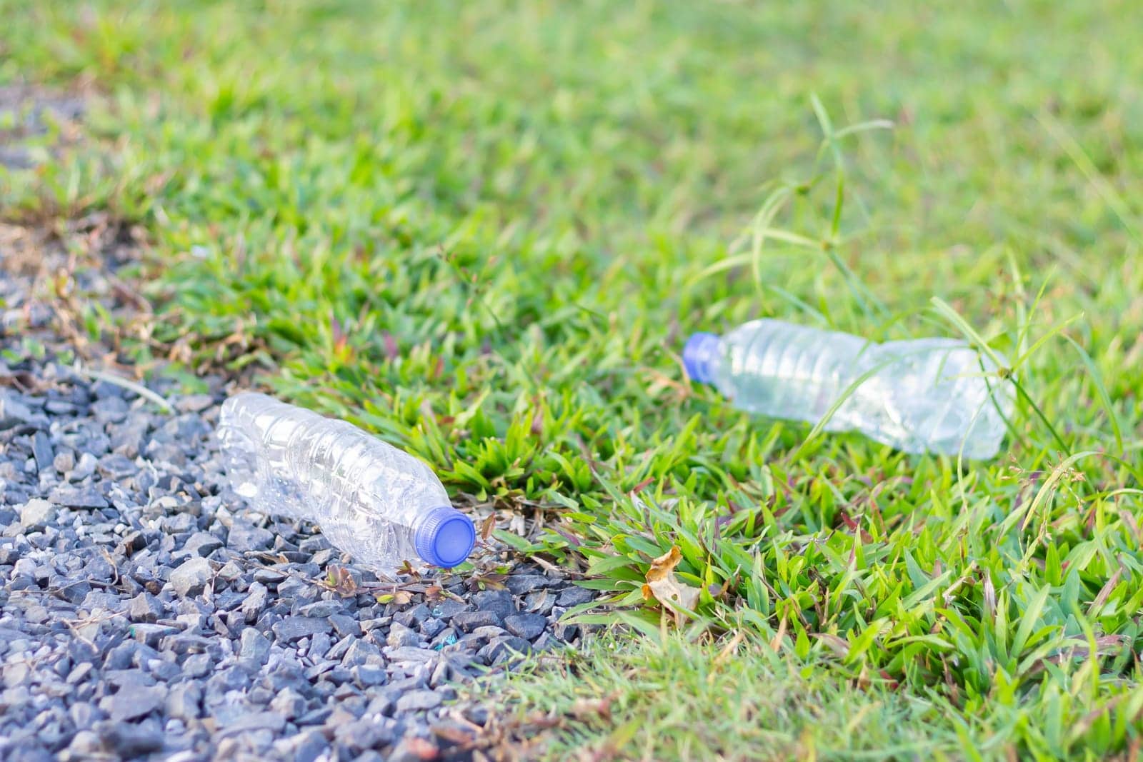 St. Tammany Litter Prevention Efforts