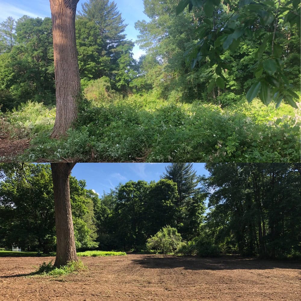 Benefits of Land Clearing During the Winter Months