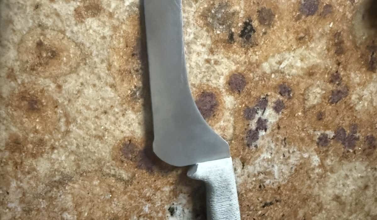 Best Bread Knives in 2026: Slice Crusty Loaves Without Crushing Them