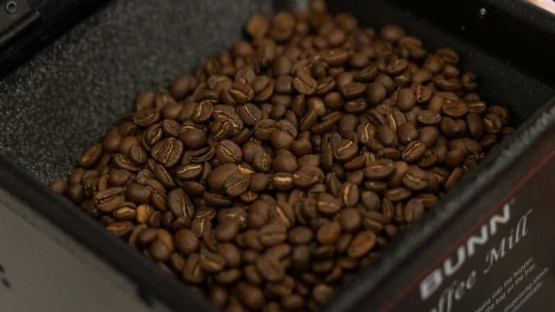 Blade vs Burr Coffee Grinder: What Actually Changes in the Cup
