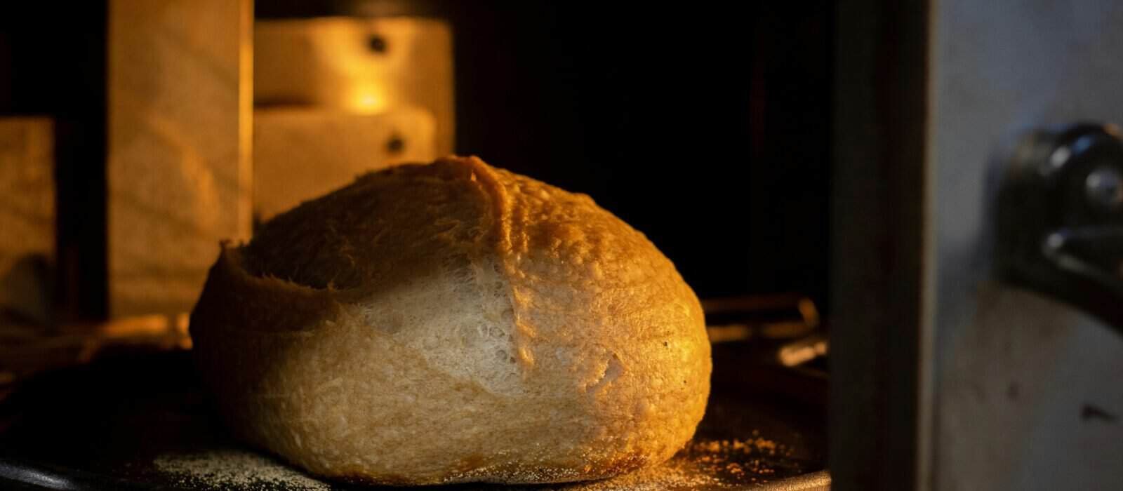 Bread Machine vs Oven Baking: Which One Is Right for You