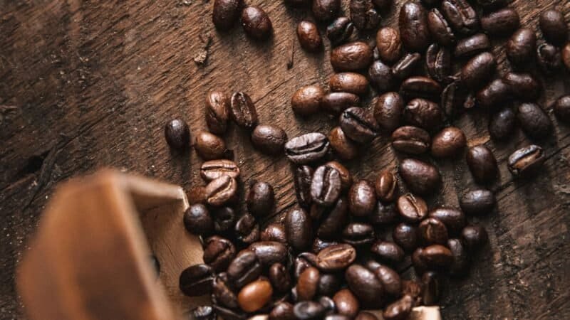 Best Coffee Storage Canisters in 2026: Keep Beans Fresh Longer