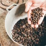 How to Store Coffee Beans for Freshness: Home Barista Guide